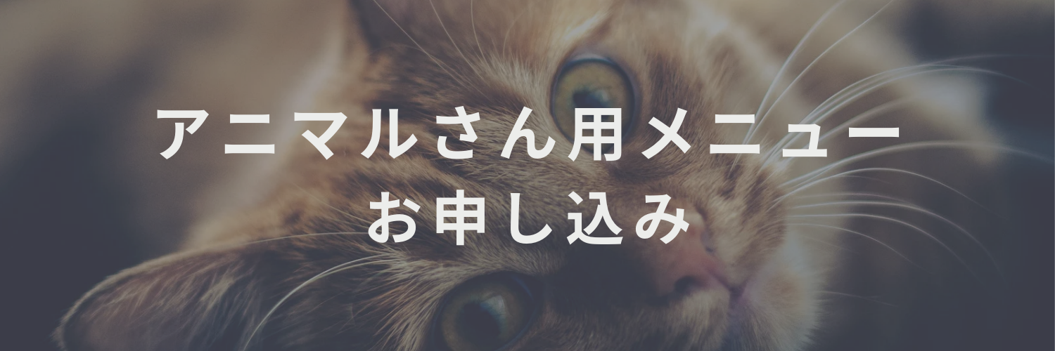 �A�j�}������p���\������